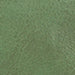 color swatch Gatsby Green Leather Biker Jacket